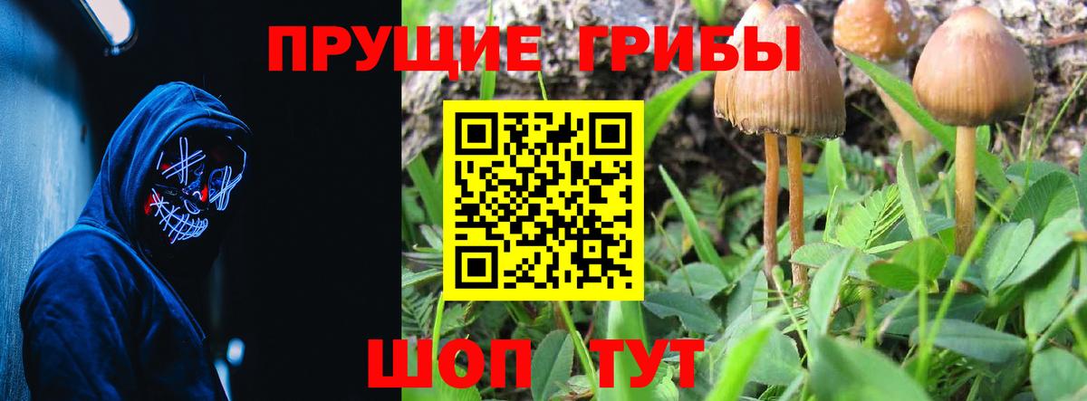 Галлюциногенные грибы мицелий  Вход с VPN  Псилоцибиновые грибы Psilocybine cubensis  как найти наркотики  Добрянка 